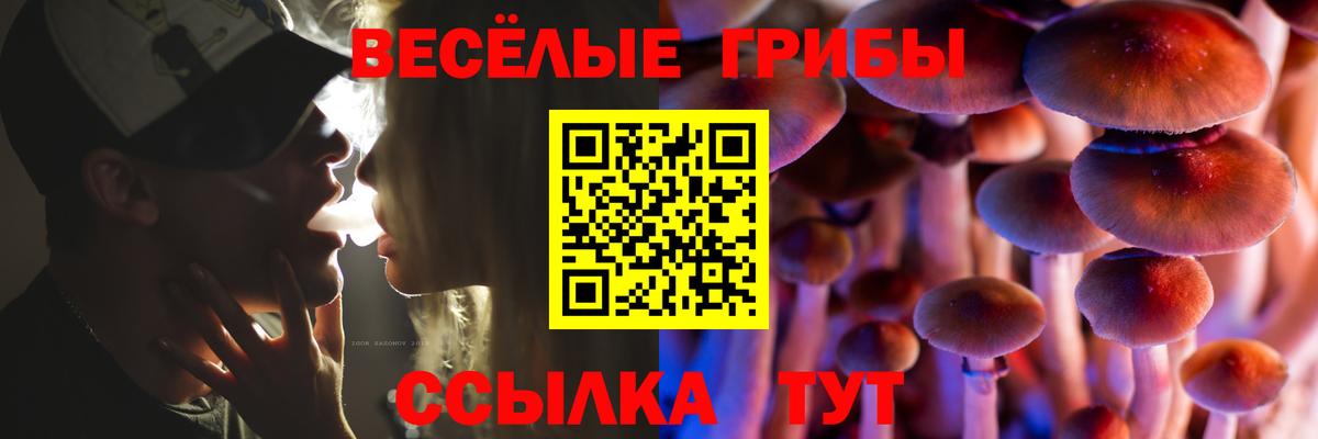 Псилоцибиновые грибы Psilocybine cubensis  Вход с VPN  где найти   Усть-Илимск 